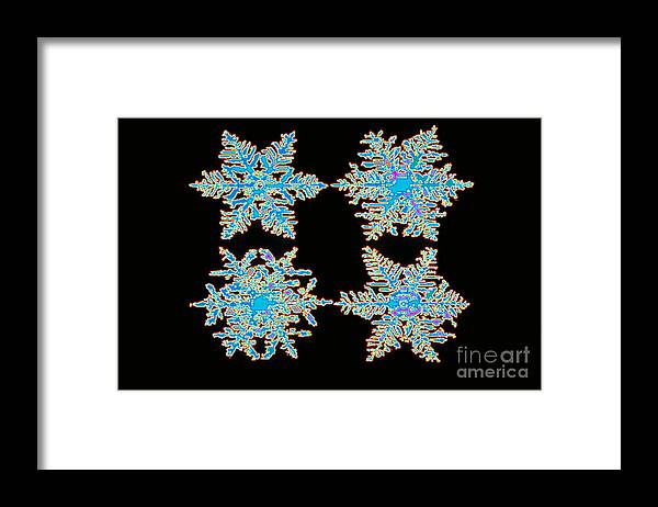 Science Framed Print featuring the photograph Snowflakes by Scott Camazine