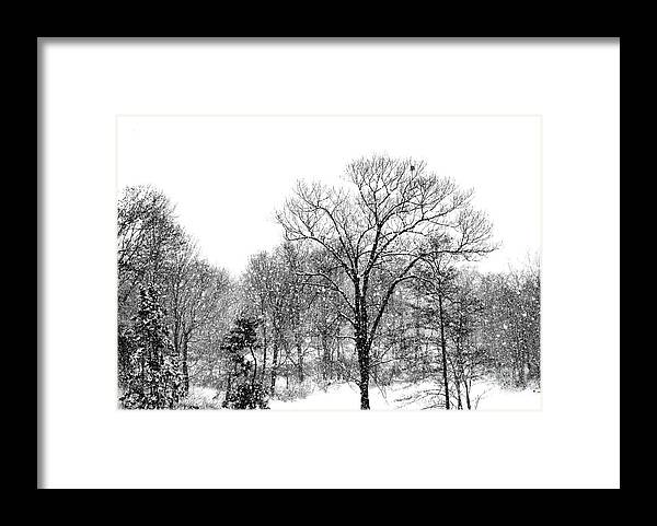 Snow Framed Print featuring the photograph Snowing Up on the Tree Tops by Rita Brown