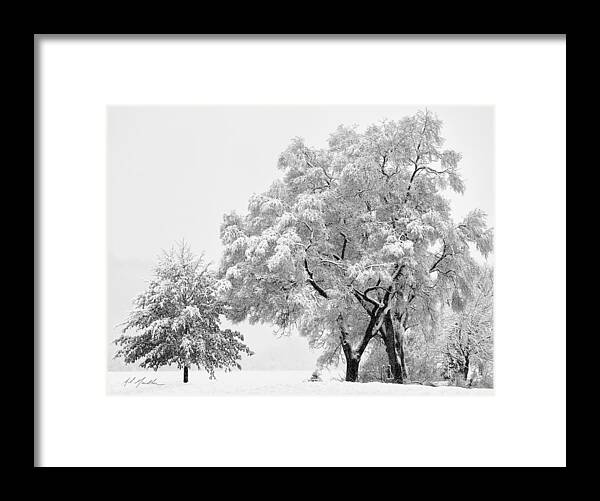 Snow Framed Print featuring the photograph Snowstorm swing by Al Mueller
