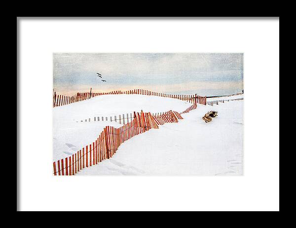 Beach Framed Print featuring the photograph Snowy Beach by Cathy Kovarik