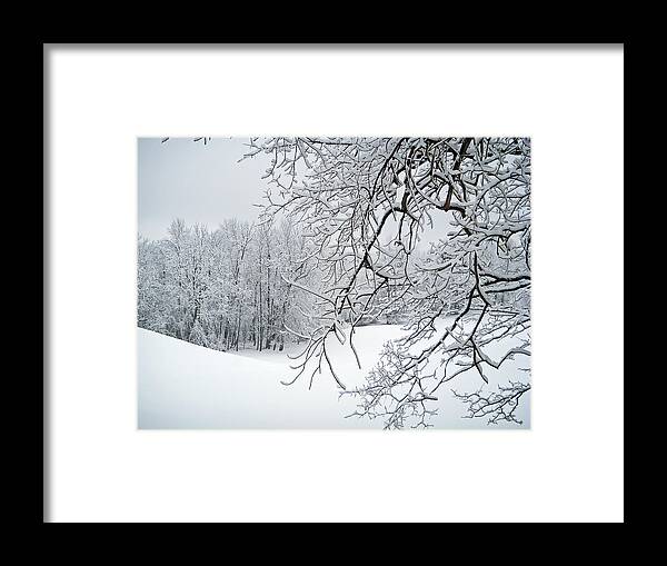 Landscape Framed Print featuring the photograph Snowy Branches by Aimee L Maher ALM GALLERY