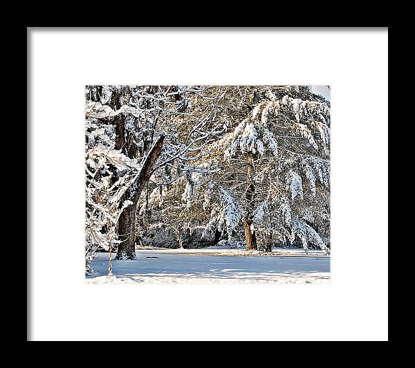 Snow Framed Print featuring the photograph Snowy Day by Linda Brown