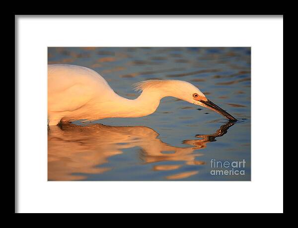 Reflections Framed Print featuring the photograph Mirror by John F Tsumas