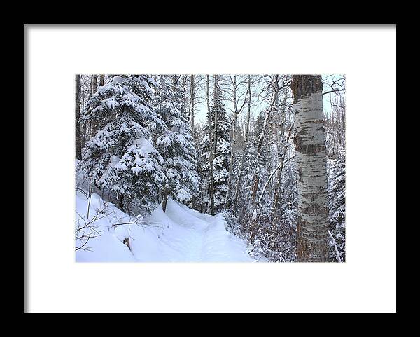 Snow Framed Print featuring the photograph Snowy Hiking Trail by Jim Sauchyn