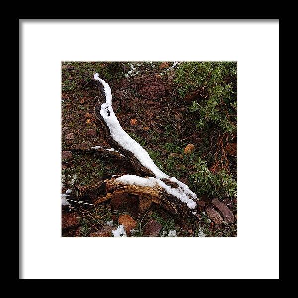 Arizona Framed Print featuring the photograph Snowy Log In The Desert by Ryan Hoffman