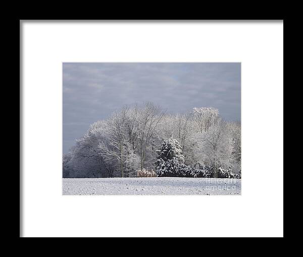 Winter Framed Print featuring the photograph Snowy Morning by Michelle Welles