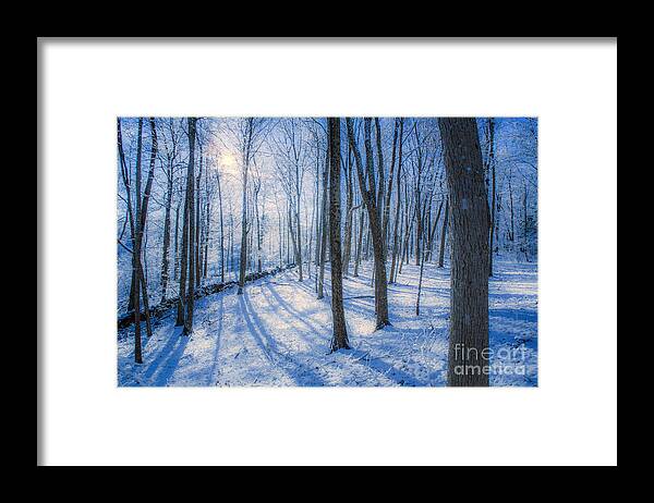 Snow Framed Print featuring the photograph Snowy New England Forest by Diane Diederich