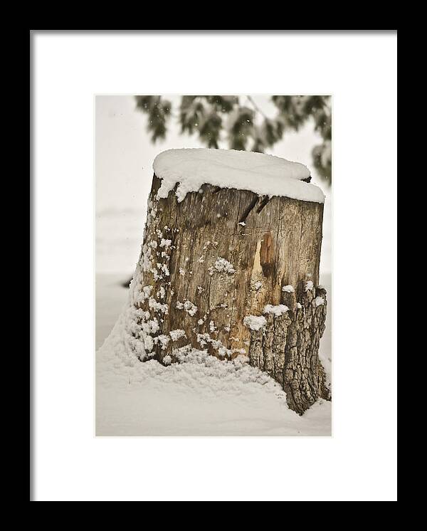 Snow Framed Print featuring the mixed media Snowy Stumptown by Trish Tritz