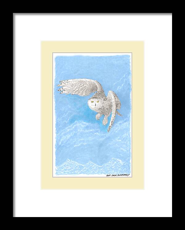 A Pen & Ink Drawing Of The Snowy White Owl Framed Print featuring the painting Snowy White Owl Art by Jack Pumphrey