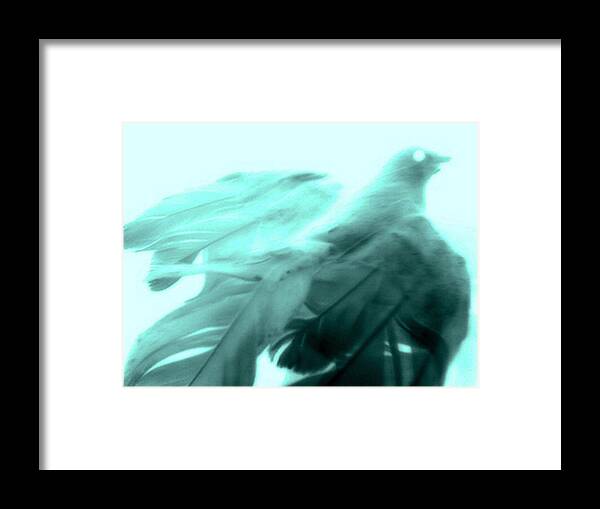 Digital Photography Framed Print featuring the photograph Soar by Linda N La Rose