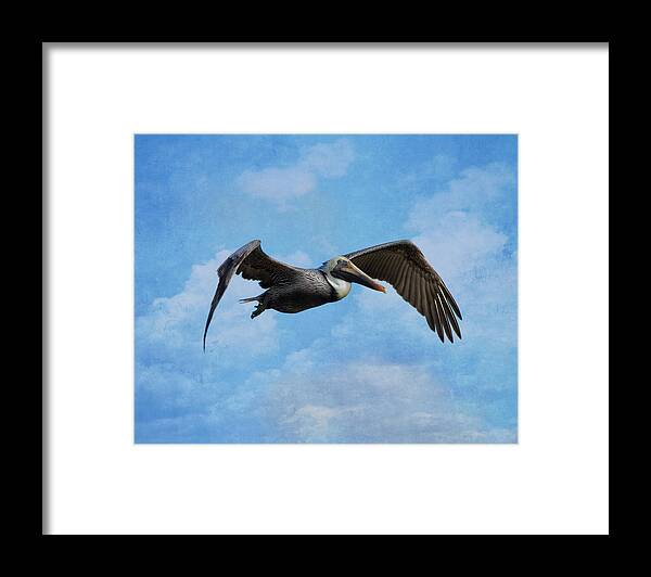 Pelican Framed Print featuring the photograph Soaring By by Kim Hojnacki