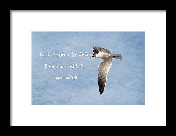 Seagull Framed Print featuring the photograph Soaring High 2 by Kim Hojnacki