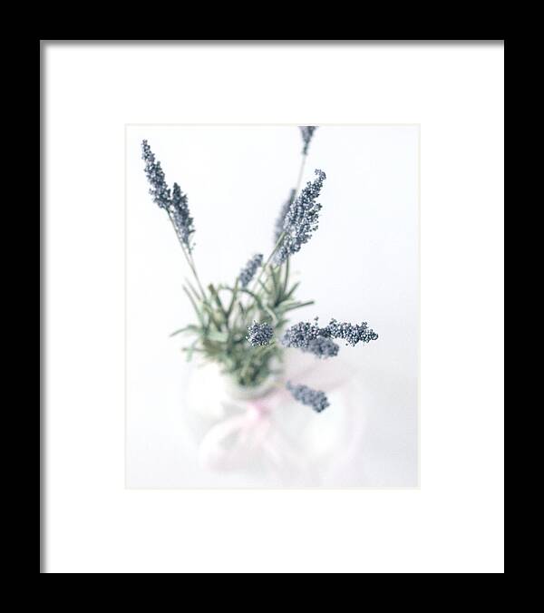 Lavender Framed Print featuring the photograph Soft by Mary Underwood