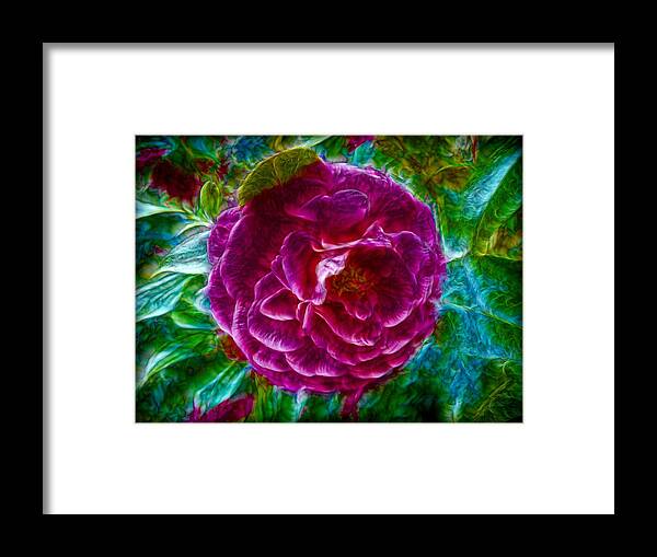 Rose Framed Print featuring the painting Soft Purple Rose by Lilia S