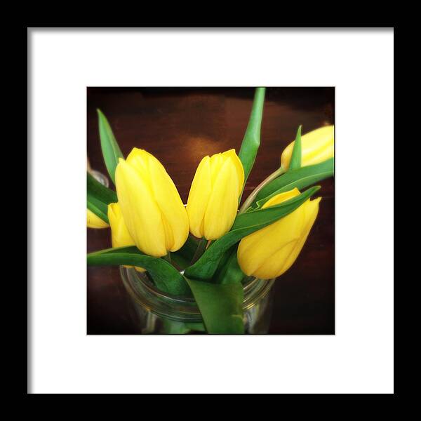 Tulips Framed Print featuring the photograph Soft yellow tulips by Matthias Hauser