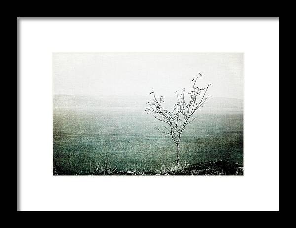 Tree Framed Print featuring the photograph Solitary Mindfulness by Randi Grace Nilsberg