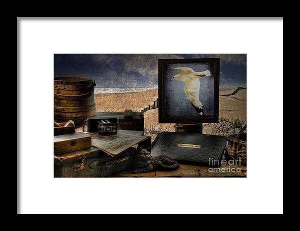Sea Gull Framed Print featuring the photograph Solitary Sea Gull by Gene Bleile Photography 