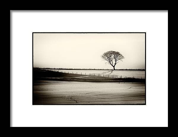 Snowscape Framed Print featuring the photograph Solitude by Mark Egerton