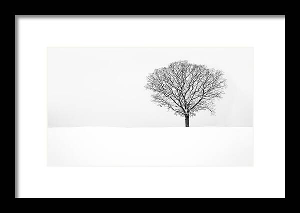 Alone Framed Print featuring the photograph Solitude by Mihai Andritoiu