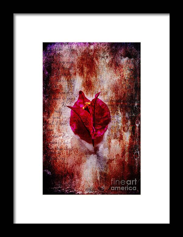 Flower Framed Print featuring the photograph Solitude by Randi Grace Nilsberg