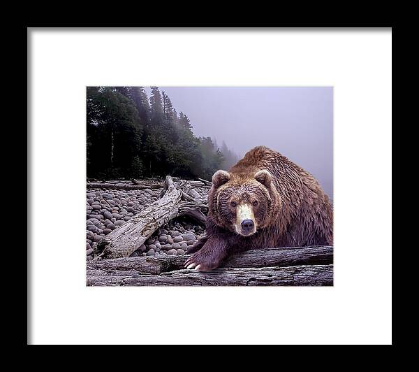 Art Framed Print featuring the photograph Some Days You Eat the Bear Some Days the Bear Eats You by Randall Nyhof