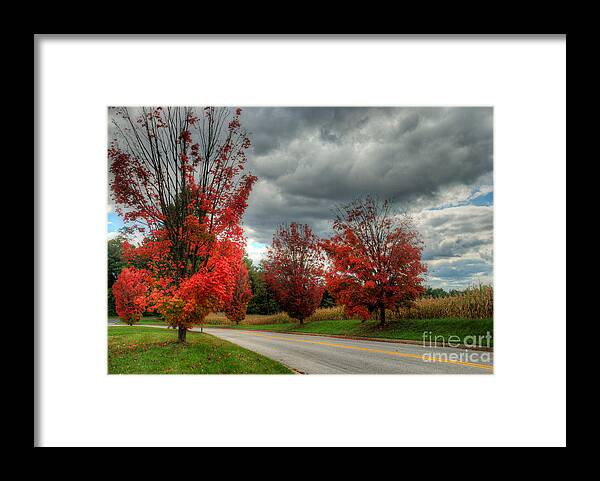 Trees Framed Print featuring the photograph Some fall Colors by Mark Dodd