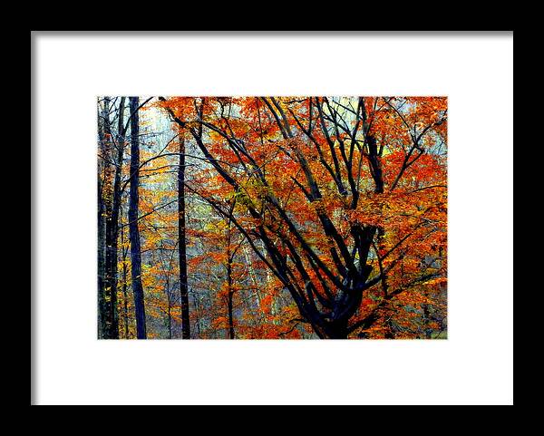 Autumn Framed Print featuring the photograph SONG of AUTUMN by Karen Wiles