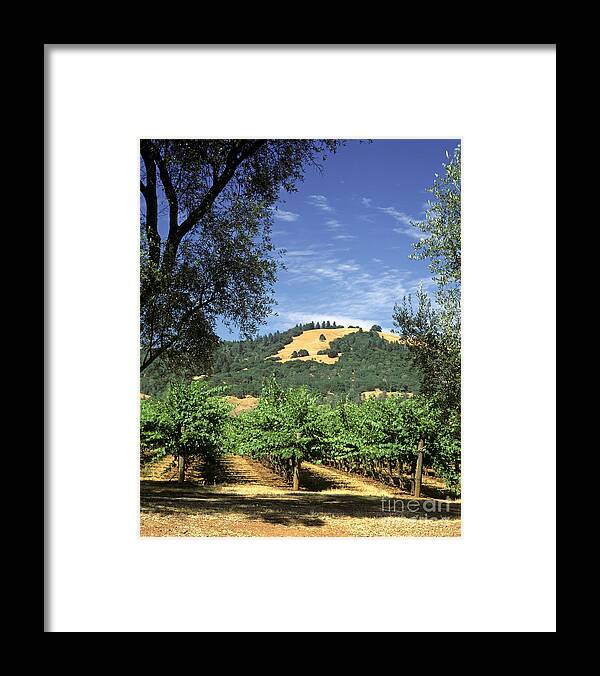 Craig Lovell Framed Print featuring the photograph Sonoma Valley Vineyard by Craig Lovell