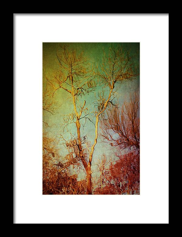 Sky Framed Print featuring the photograph Souls of Trees by Trish Mistric
