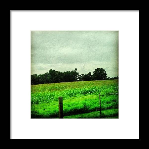 Scenery Framed Print featuring the photograph #south #carolina #scenery #lovely #day by Jesse Halloran