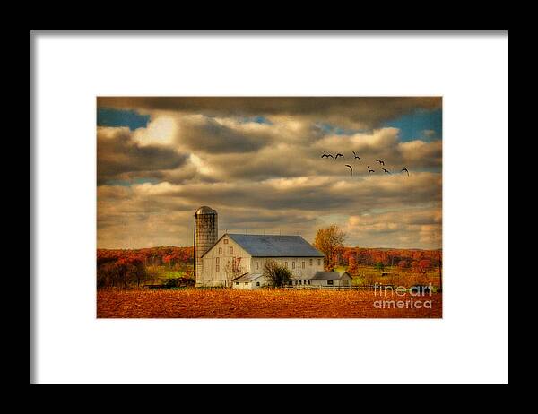 White Barn Framed Print featuring the photograph South For The Winter by Lois Bryan