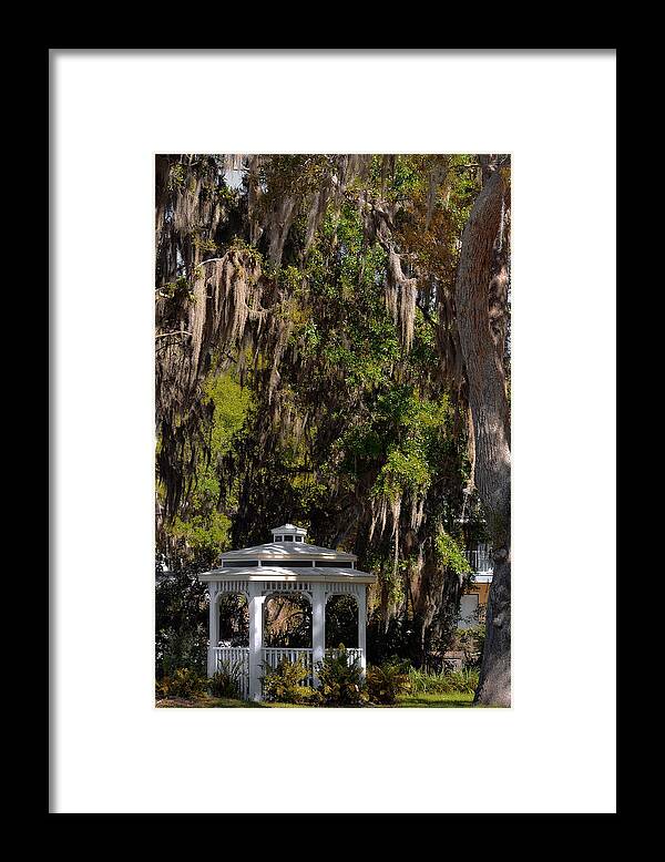 Mount Framed Print featuring the photograph Southern Gothic in Mount Dora Florida by Alexandra Till