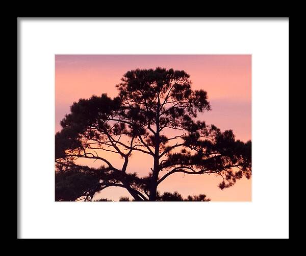 Sunset Framed Print featuring the photograph Southern Sundown by John Glass