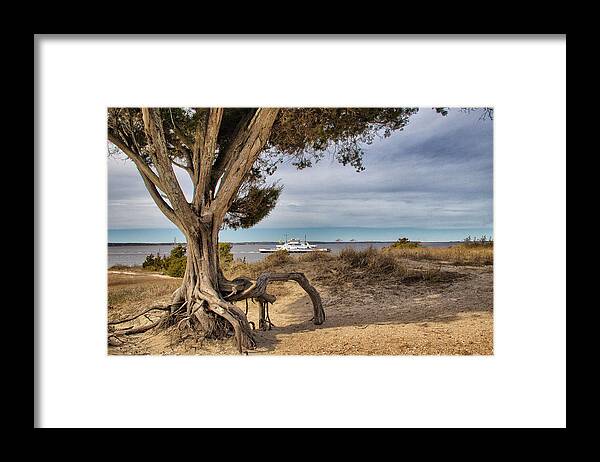 Fort Fisher Framed Print featuring the photograph Southport Ferry by Phil Mancuso