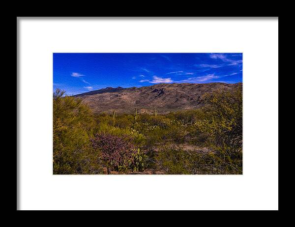 Aso Framed Print featuring the photograph Southwest Salad No.12 by Mark Myhaver
