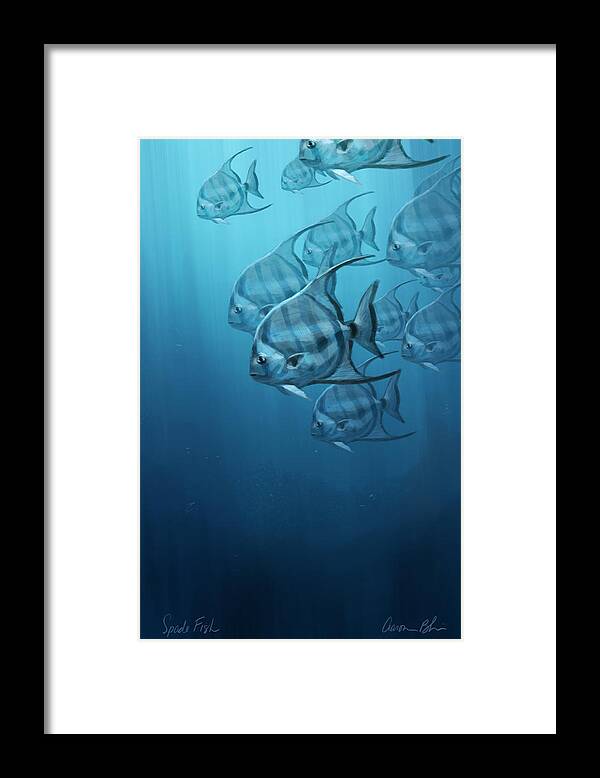 Fish Framed Print featuring the digital art Spade Fish by Aaron Blaise