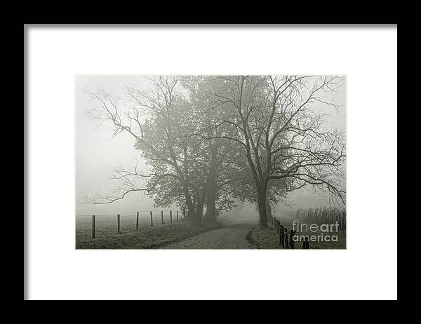 Cades Cove Framed Print featuring the photograph Sparks Lane Fog by David Waldrop
