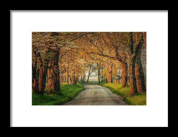 2005 Framed Print featuring the photograph Sparks Lane by Jay Stockhaus
