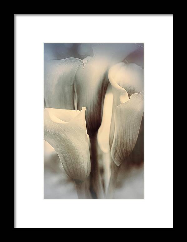Flower Framed Print featuring the photograph Speaking Softly by Darlene Kwiatkowski