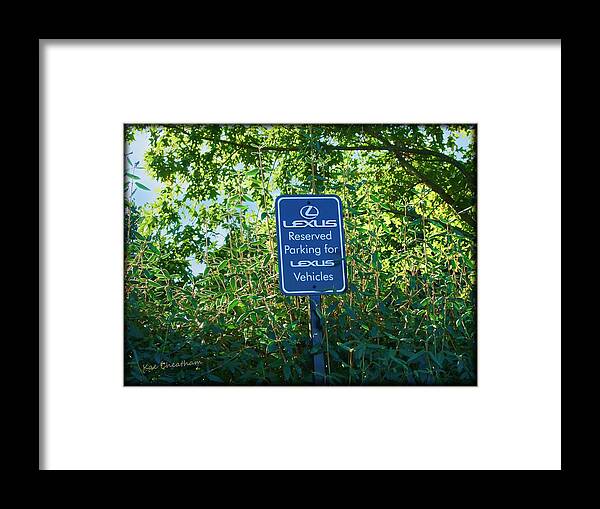 Parking Space Framed Print featuring the photograph Special Treatment by Kae Cheatham