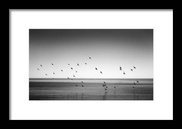 Ducks Framed Print featuring the photograph Spectacle of Flight by Peter Scott