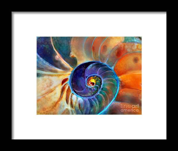 Seashell Framed Print featuring the digital art Spiral Life by Mary Eichert
