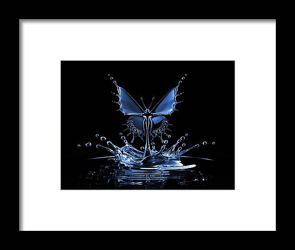 Environmental Conservation Framed Print featuring the photograph Splash Of Water Butterfly by Blackjack3d