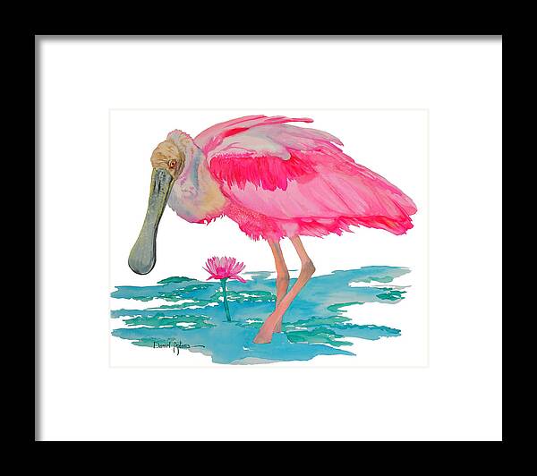 Roseate Framed Print featuring the painting Spoonbill Wading by Daniel Adams