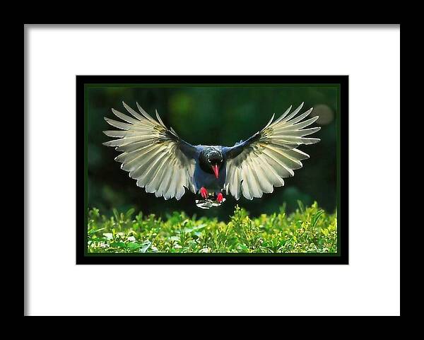  Framed Print featuring the digital art Spread My.wings by Tracie Howard 
