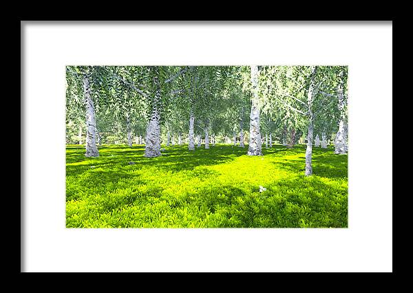 Birch Framed Print featuring the digital art Spring birch by Marina Likholat