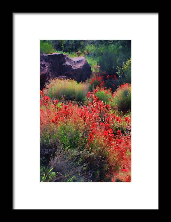 Utah Framed Print featuring the photograph Spring Blooms by Barbara Manis