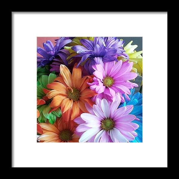 Flower Framed Print featuring the photograph Spring Colors 4 by Lynn Palmer
