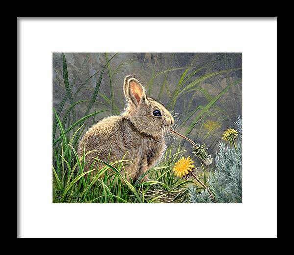 Wildlife Framed Print featuring the painting Spring Cottontail by Paul Krapf