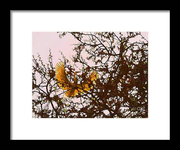 Egret Nesting Framed Print featuring the photograph Spring Flight by Melinda Hughes-Berland